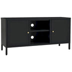 Meuble TV Noir, Acier et Verre, 2 Portes, 105x35x52 cm