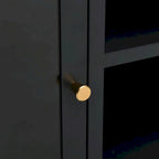Meuble TV Noir, Acier et Verre, 2 Portes, 105x35x52 cm